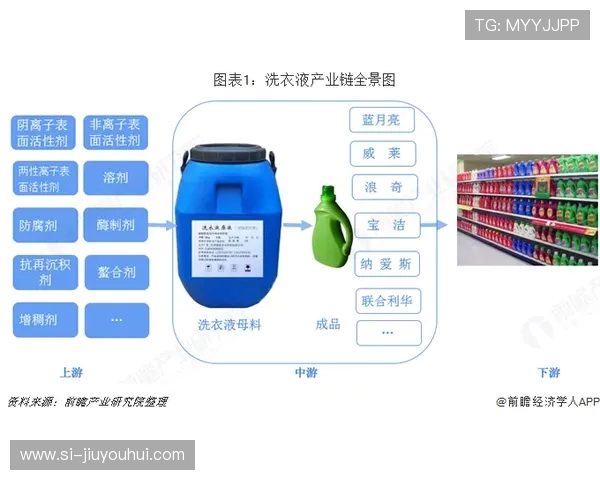 深度解析全球现役自由球员实力格局与最新排名趋势全景动态观察速
